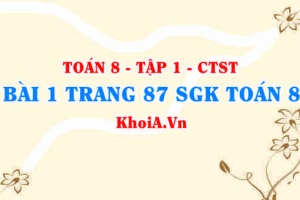 Bài 1 trang 87 SGK Toán 8 Tập 1 Chân trời sáng tạo
